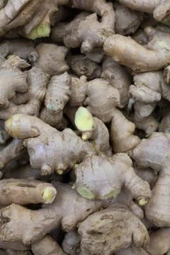 Heap of ginger root Stock Photos