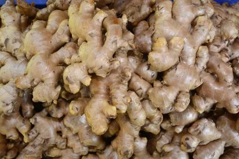 Heap of ginger root Stock Photos