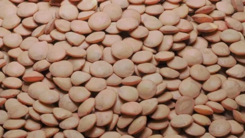 A heap of green lentils 스톡 동영상 142630167