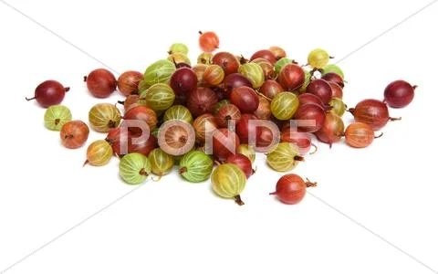 Heap of green ripe gooseberry isolated Stock Photos