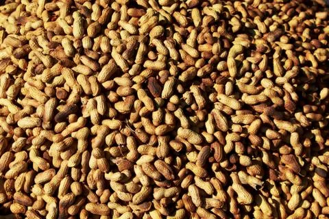 Heap of groundnut Stock Photos