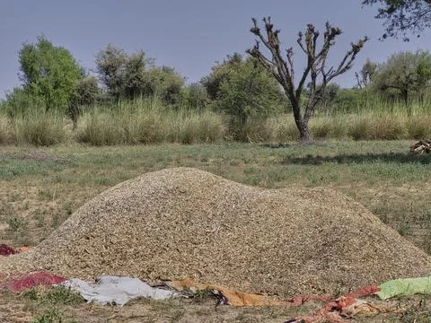A heap of hay Stock Photos
