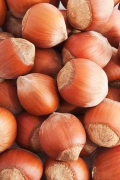 Heap of hazelnuts, filbert nuts making background Stock Photos