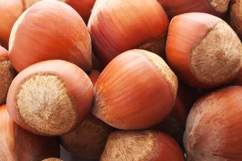 Heap of hazelnuts, filbert nuts making background Stock Photos