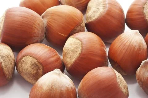 Heap of hazelnuts, filbert nuts making background Stock Photos