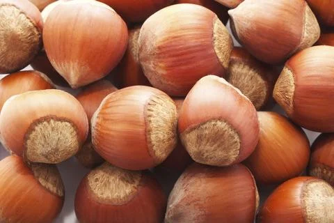 Heap of hazelnuts, filbert nuts making background Stock Photos