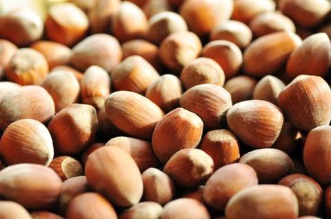 Heap of hazelnuts Foto stock