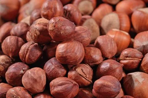 Heap of hazelnuts Stock Photos