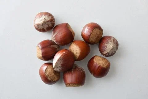 Heap of hazelnuts in shell isolated on white table Stock Photos