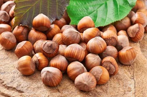 Heap of hazelnuts on a stone closeup Stock Photos