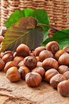 Heap of hazelnuts on a stone closeup 스톡 사진