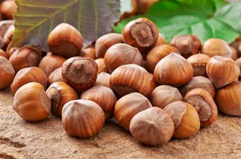 Heap of hazelnuts on a stone closeup Stock Photos