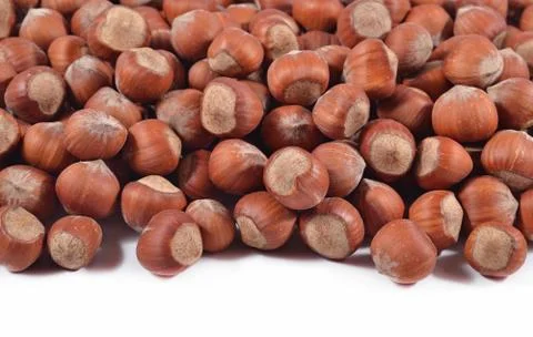 Heap of hazelnuts on a white Foto stock
