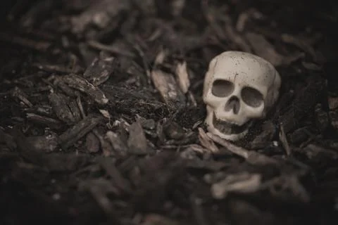 Heap of human skulls on ground Stock Photos