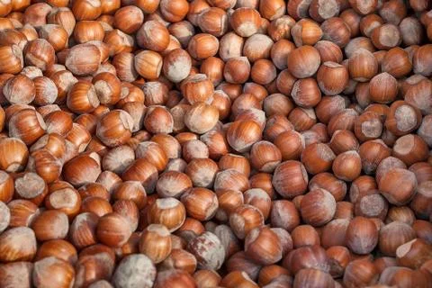 Heap of huzelnuts Foto stock