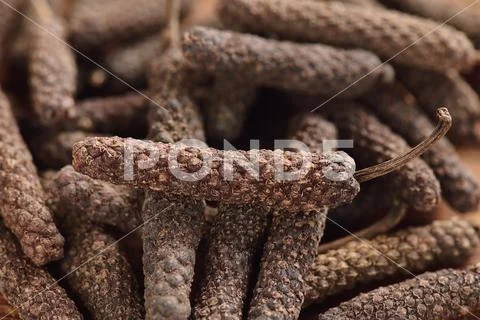 A heap of java long pepper, close-up 写真素材