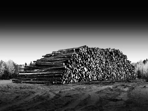 Heap of log landscape background Stock Photos