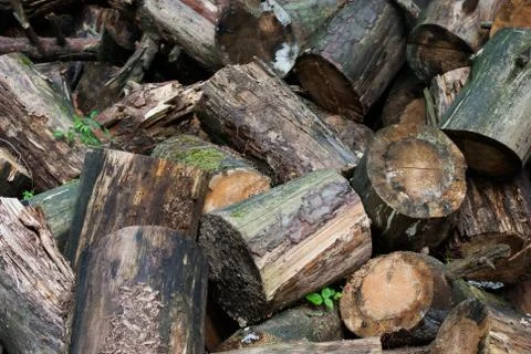 Heap of logs Stock Photos