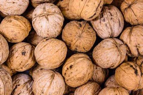 Heap of many walnuts for the background Stock Photos