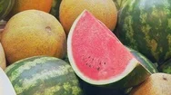 Heap Of Melons And Watermelons Stock Footage