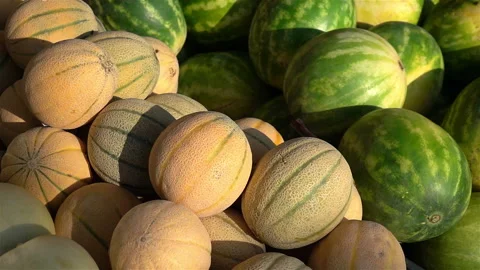Heap of melons in slow motion Stock Footage 87010613