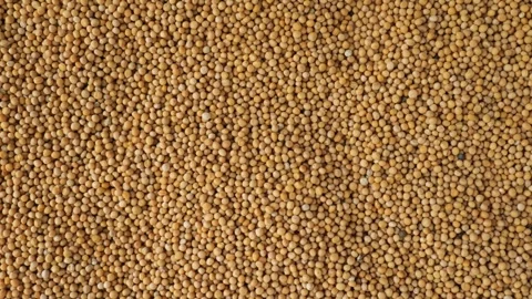 Heap of mustard seeds slowly moving Stock Footage 336038121