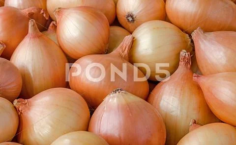 Heap of onions Stock Photos