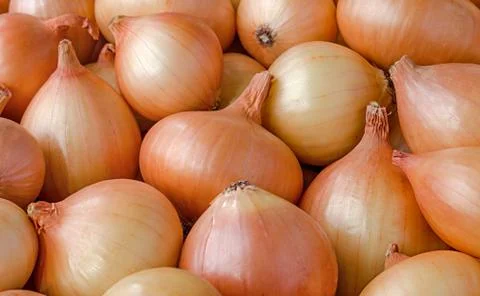 Heap of onions Stock Photos