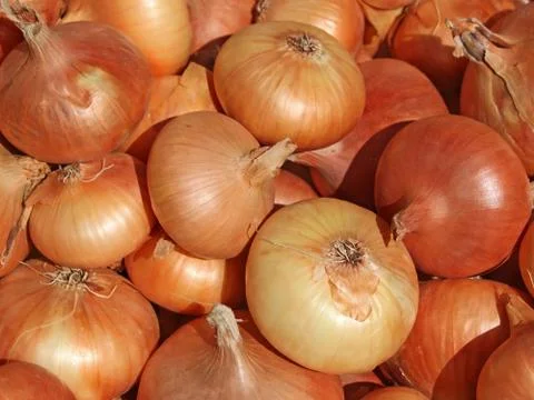 Heap of onions Stock Photos