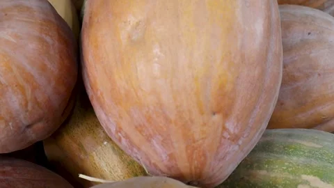 Heap of orange and green squashes stacked Stock Footage 338168075