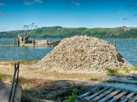 Heap Of Oyster Shells Stock Photos