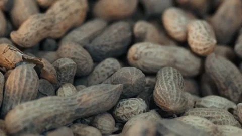 Heap Of Peanuts - Background Stock Footage 296841655
