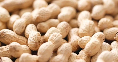 Heap of Peanuts Stock Footage 81496378