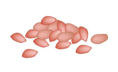 A Heap of Peanuts on White Background Stock Illustration