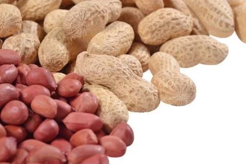 Heap of peanuts on a white Stock Photos