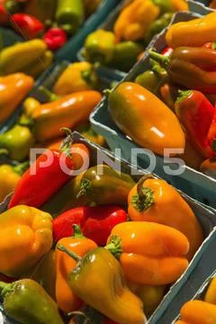 Heap of peppers Stock Photos