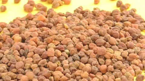 Heap pile stack of dried red chickpea gram peas garbanzo beans seed falling drop Stock Footage 149131518