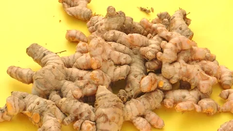 Heap pile stack of fresh raw dry wild turmeric haldi roots seasoning harvesting Stock Footage 149070898