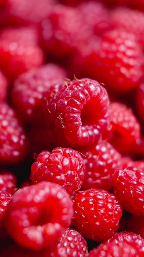 Heap of plump raspberries rotating. Delicious summer berries. Healthy nutrition Stock Footage 290113698