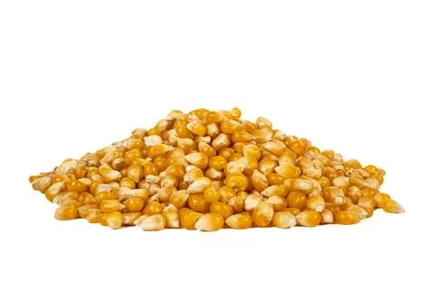 Heap of popcorn kernels isolated on white background Stock Photos