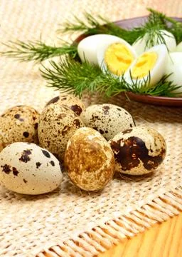 Heap of raw quail eggs on the sacking and boiled quail eggs on the plate with Stock Photos