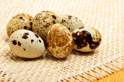 Heap of raw quail eggs on the sacking Stock Photos