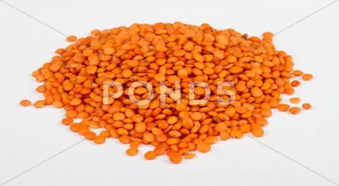 Heap of raw red lentils isolated on white background Stock Photos