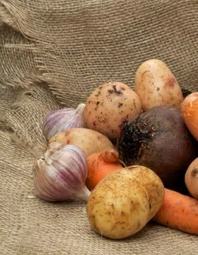 Heap of Raw Vegetables Stock Photos