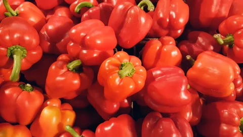 Heap of red bell ripe pepper zoom out Video stock 144444899