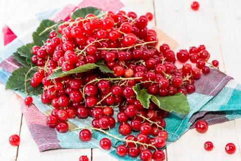 Heap of red currants Stock Photos