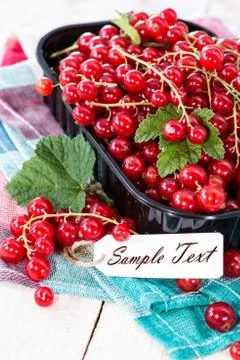 Heap of red currants Stock Photos