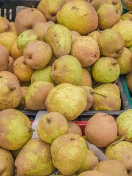 A heap of ripe pears under the light of the sun Stock Photos