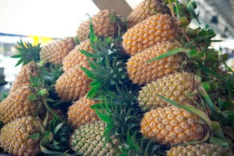 A heap of ripe pineapples Stock Photos