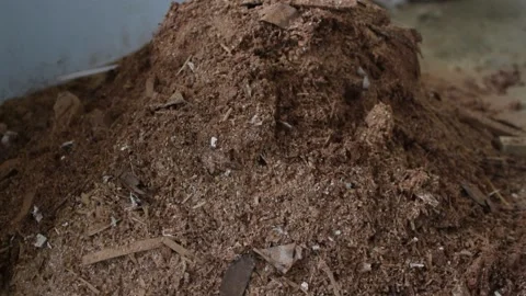 A heap of sawdust Video stock 202055315